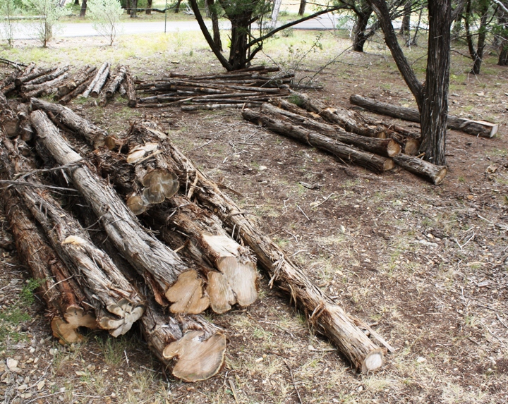 Cedar Posts for Coyote Fencing
